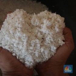 Harga Kelapa Parut Meledak ke Rp25.000/ Butir, Pedagang Mulai Teriak