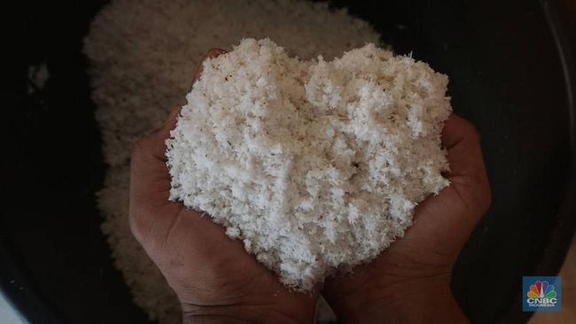 Harga Kelapa Parut Meledak ke Rp25.000/ Butir, Pedagang Mulai Teriak