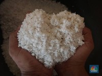 Harga Kelapa Parut Meledak ke Rp25.000/ Butir, Pedagang Mulai Teriak