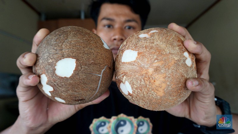 Penjualan kelapa parut pada salah satu ruko di kawasan Duren Tiga, Jakarta Selatan, Rabu (16/4/2025). (CNBC Indonesia/Muhammad Sabki) Penjualan kelapa parut pada salah satu ruko di kawasan Duren Tiga, Jakarta Selatan, Rabu (16/4/2025). (CNBC Indonesia/Muhammad Sabki)