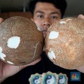 Gila! Harga Kelapa Parut di Pasar Tembus Rp 25.000, Pedagang Teriak