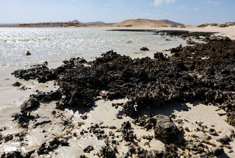Pemandangan tanda yang dikelilingi penghalang yang terbuat dari tongkat kayu di depan pantai Ras Hankorab di Taman Nasional Wadi el-Gemal, rumah bagi salah satu ekosistem laut terakhir yang masih alami di negara ini dengan air sebening kristal dan pasir putih, di pantai Laut Merah Mesir selatan di Marsa Alam, Mesir 23 Maret 2025. Pemandangan tanda yang dikelilingi penghalang yang terbuat dari tongkat kayu di depan pantai Ras Hankorab di Taman Nasional Wadi el-Gemal, rumah bagi salah satu ekosistem laut terakhir yang masih alami di negara ini dengan air sebening kristal dan pasir putih, di pantai Laut Merah Mesir selatan di Marsa Alam, Mesir 23 Maret 2025. (REUTERS/Stringer)