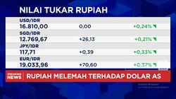 Video: Nilai Tukar Rupiah Melemah ke Rp16.800-an per Dolar AS