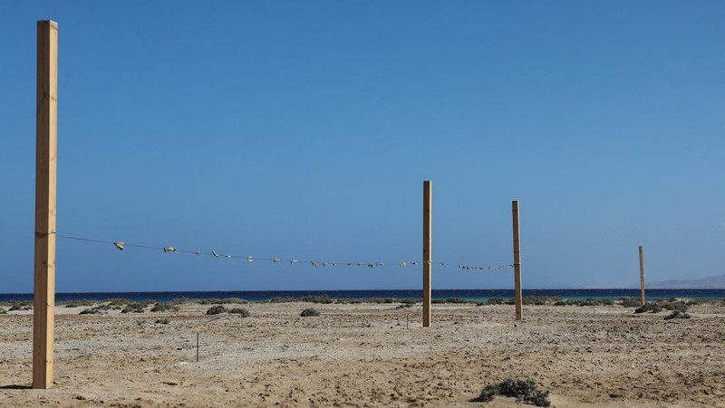 Pemandangan tanda yang dikelilingi penghalang yang terbuat dari tongkat kayu di depan pantai Ras Hankorab di Taman Nasional Wadi el-Gemal, rumah bagi salah satu ekosistem laut terakhir yang masih alami di negara ini dengan air sebening kristal dan pasir putih, di pantai Laut Merah Mesir selatan di Marsa Alam, Mesir 23 Maret 2025. (REUTERS/Stringer)