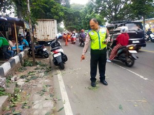 Hilang Konsentrasi, Truk Boks Tabrak Pohon-5 Motor di Bogor