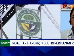 Video: Perang Dagang, Bisnis Udang Minta Prabowo Pangkas Pajak Tinggi