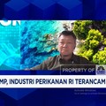 Video: Biaya Produksi Mahal & Trump Bikin Ulah, Bisnis Udang RI Merana