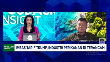 Video: Biaya Produksi Mahal & Trump Bikin Ulah, Bisnis Udang RI Merana