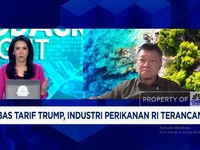 Video: Biaya Produksi Mahal & Trump Bikin Ulah, Bisnis Udang RI Merana