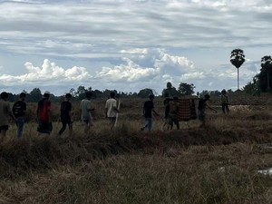 IRT di Bone Tewas Tersambar Petir Saat Ikat Kacang Panjang di Rumah Sawah