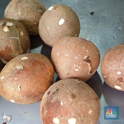 Harga Kelapa Parut Mahal, Pemilik Warung Makan Teriak Minta Tolong