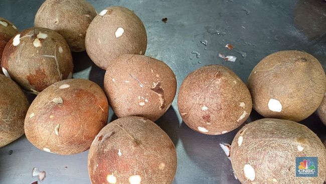 Harga Kelapa Parut Mahal, Pemilik Warung Makan Teriak Minta Tolong