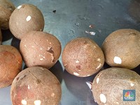 Harga Kelapa Parut Mahal, Pemilik Warung Makan Teriak Minta Tolong