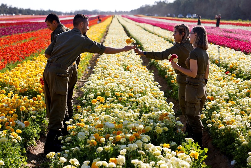 Pemandangan drone menunjukkan orang-orang berjalan di sepanjang deretan bunga buttercup, di sebuah ladang dekat perbatasan Israel-Gaza, di Israel selatan, 16 April 2025. Pemandangan drone menunjukkan orang-orang berjalan di sepanjang deretan bunga buttercup, di sebuah ladang dekat perbatasan Israel-Gaza, di Israel selatan, 16 April 2025. (REUTERS/Ilan Rosenberg)