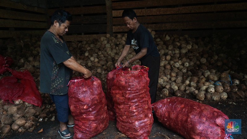 Penjualan kelapa parut di kawasan Kramat Jati, Jakarta, Kamis (17/4/2025). (CNBC Indonesia/Muhammad Sabki)