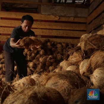 Penampakan Kelapa Parut yang Harganya Lagi Meledak dan Stoknya Langka
