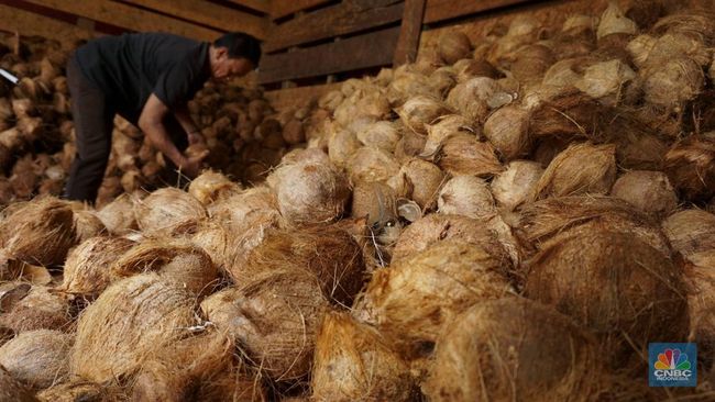 Harga Kelapa Parut Tak Kunjung Turun dan Langka, Pedagang Teriak Begini