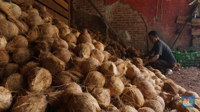 Pedagang Kelapa Parut Merana, Ditinggal Pembeli-Omzet Ambruk