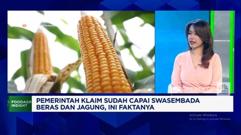 Video: Perang Dagang Mengguncang, Swasembada Beras & Jagung RI Aman?