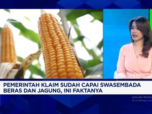Video: Perang Dagang Mengguncang, Swasembada Beras & Jagung RI Aman?