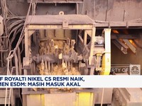Video: Tarif Royalti Nikel Cs Naik, Ini Kata Wamen ESDM & Pengusaha