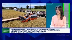 Video: Zulhas Klaim RI Sudah Swasembada Beras & Jagung, Cek Faktanya!