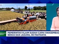 Video: Zulhas Klaim RI Sudah Swasembada Beras & Jagung, Cek Faktanya!