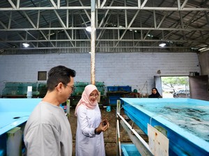 Bupati Ipuk Kunjungi Kampung Lobster, Nikmati Hidangan Segar Langsung dari Laut