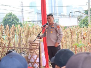 Sukseskan Ketahanan Pangan, Kapolda Metro Panen Jagung di Tanah Abang