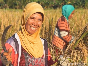 BPS Kaltara Ungkap Kemiskinan Menurun, Sektor Pertanian Mulai Ditinggalkan
