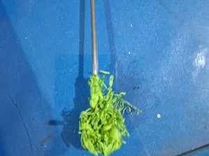 2 Remaja Makassar Busur Warga di Moncongloe Maros Ditangkap