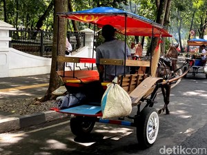 Ini Kata Kusir Delman Resmi di Bandung, Usai Ada Delman Getok Tarif