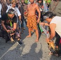 Geng Kriminal Membabi Buta Tembak Warga di Sabung Ayam, 12 Orang Tewas