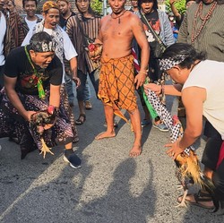 Geng Kriminal Membabi Buta Tembak Warga di Sabung Ayam, 12 Orang Tewas