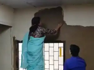Viral Tren Dinding Rumah Diplester Pake Kotoran Sapi, Alasannya di Luar Nalar