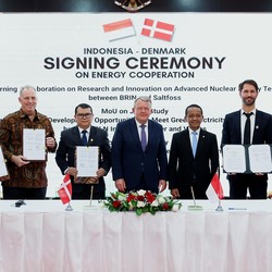 RI-Denmark Kembali Perkuat Kerja Sama di Sektor Energi Bersih