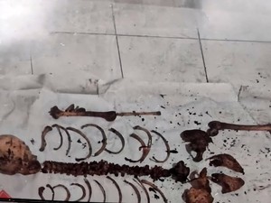 Geger Tengkorak di Jalan Setapak Hutan Cikakak Sukabumi