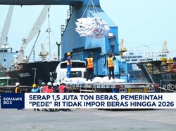 Video: Pemerintah "Pede" RI Tidak Impor Beras Hingga 2026