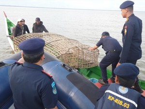 Sempat Kejar-kejaran, KKP Tangkap Kapal Maling Ikan Asal Malaysia