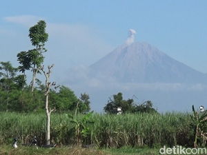 Status Waspada, Gunung Semeru 2 Kali Erupsi Pagi Ini