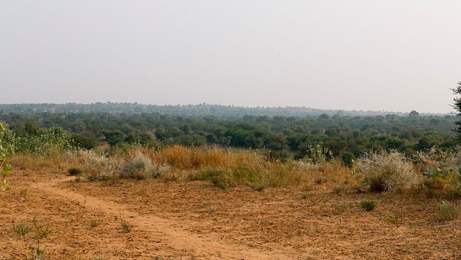 Mandawa. Dok: Wikimedia Commons/Daniel VILLAFRUELA