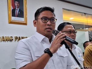 Wamentan Bakal Cek Produksi Kelapa Imbas Harga Melambung Tinggi