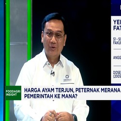 Peternak Ayam Kena Petaka Harga, Ombudsman Tunjuk Biang Kerok Asli