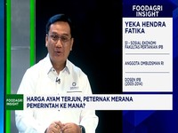 Peternak Ayam Kena Petaka Harga, Ombudsman Tunjuk Biang Kerok Asli