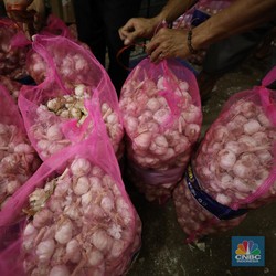 Harga Bawang Putih di RI Rawan Meledak, Ternyata Biang Keroknya Ini