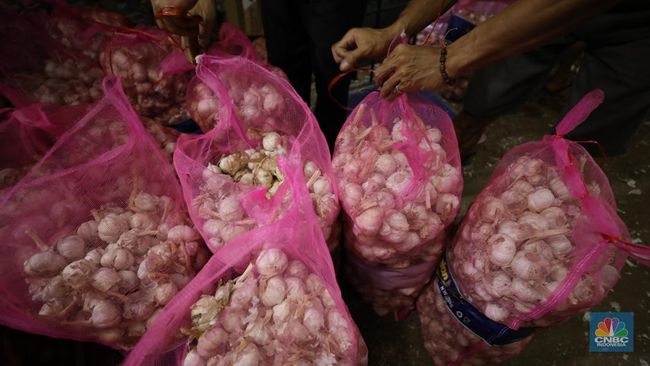 Harga Bawang Putih di RI Rawan Meledak, Ternyata Biang Keroknya Ini