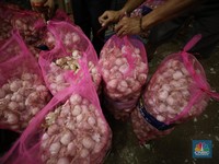 Harga Bawang Putih di RI Rawan Meledak, Ternyata Biang Keroknya Ini