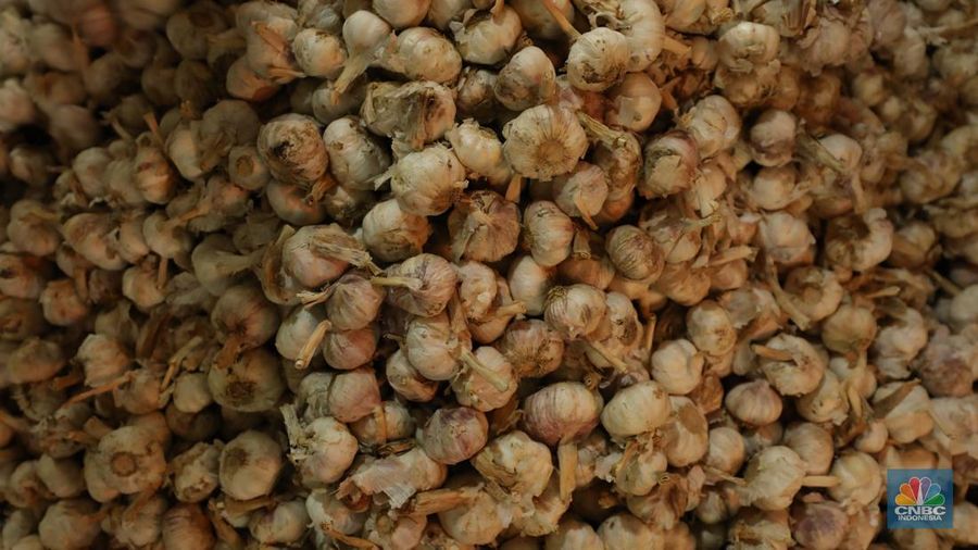 Bawang putih impor dari China di Pasar Kramat Jati, Jakarta, Rabu (23/4/2025). (CNBC Indonesia/Tri Susilo)