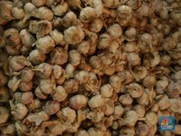 Kemendag Bantah Kantor Tito, Ngaku Sudah Panggil Importir Bawang Putih