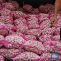 Kantor Tito Warning Keras Kemendag, Tunjuk Modus Importir Bawang Putih
